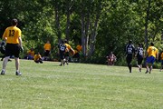 OTFL Gallery Image